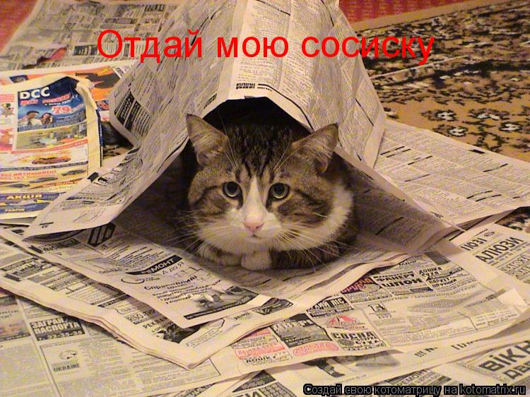 Отдай мою сосиску... Котоматрица: Отдай мою сосиску