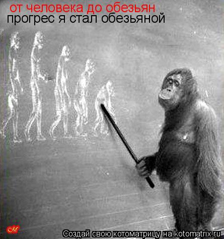 от человека до обезьян прогрес я стал обезьяной... Котоматрица: от человека до обезьян прогрес я стал обезьяной