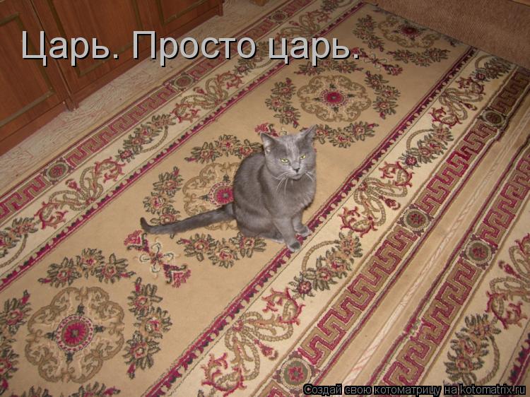 Котоматрица: Царь. Просто царь.