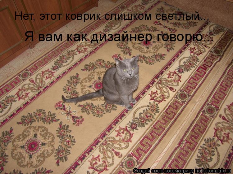 Котоматрица: Нет, этот коврик слишком светлый... Я вам как дизайнер говорю...