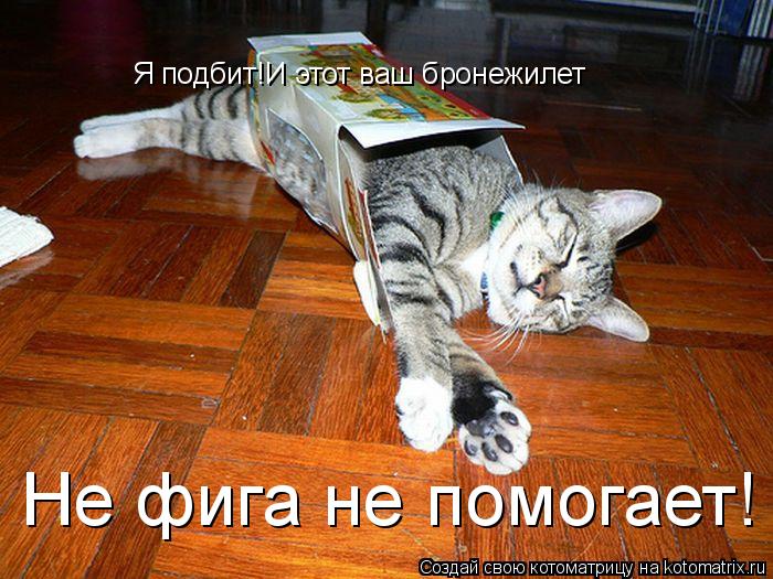 Котоматрица: Я подбит!И этот ваш бронежилет Не фига не помогает!