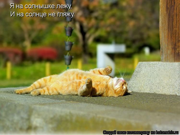 Котоматрица: Я на солнышке лежу, И на солнце не гляжу.