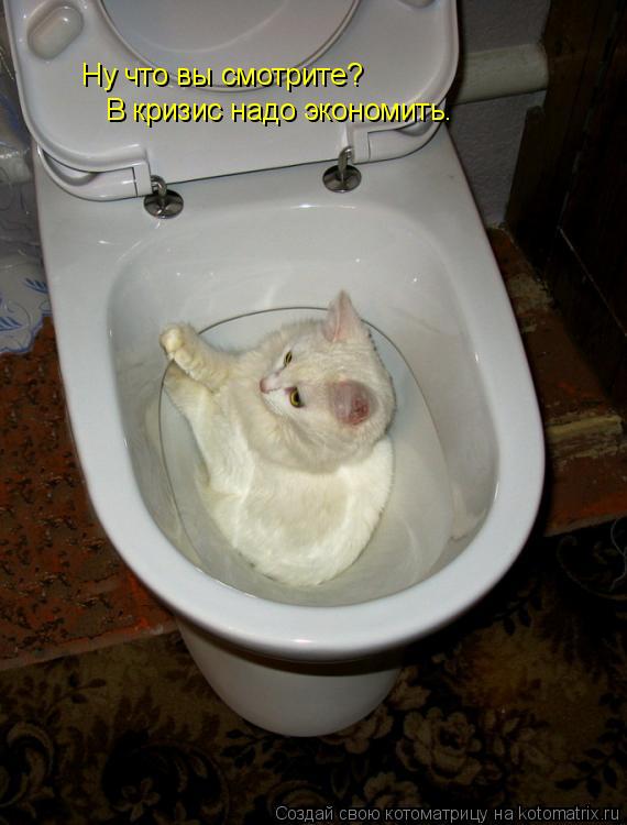 Котоматрица: Ну что вы смотрите? В кризис надо экономить.