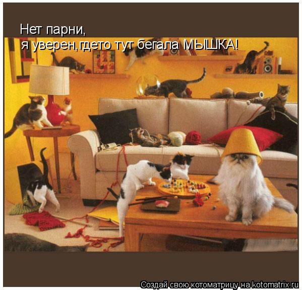 Нет парни, я уверен,гдето тут бегала МЫШКА!... Котоматрица: Нет парни, я уверен,гдето тут бегала МЫШКА!