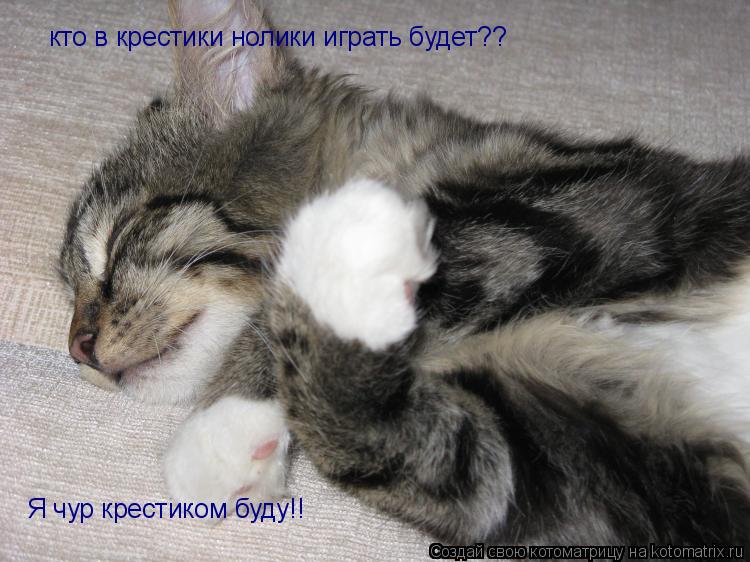 кто в крестики нолики играть будет?? Я чур крестиком буду!!... Котоматрица: кто в крестики нолики играть будет?? Я чур крестиком буду!!