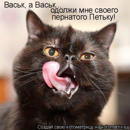 Васьк, а Васьк... одолжи мне своего пернатого Петьку!... Котоматрица: Васьк, а Васьк... одолжи мне своего пернатого Петьку!