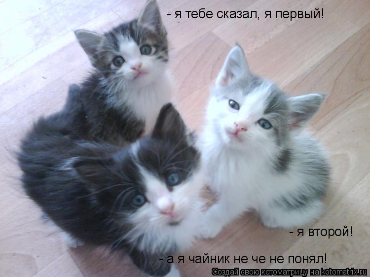 - я тебе сказал, я первый! - я второй! - а я чайник не че не понял!... Котоматрица: - я тебе сказал, я первый! - я второй! - а я чайник не че не понял!