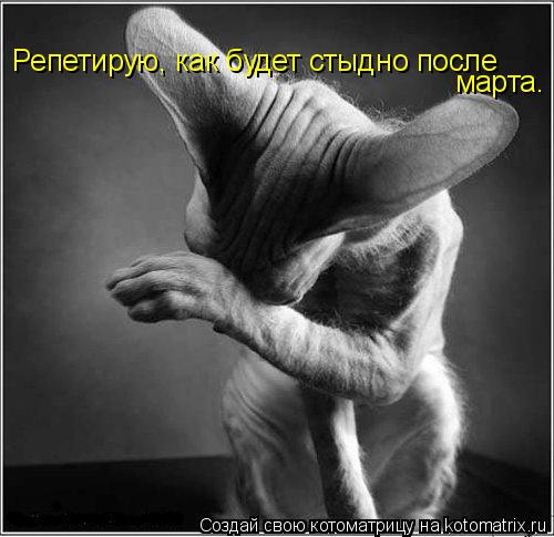 Репетирую, как будет стыдно после марта.... Котоматрица: Репетирую, как будет стыдно после марта.