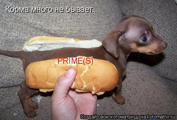 Корма много не бывает... PRIME(S)... Котоматрица: Корма много не бывает... PRIME(S)