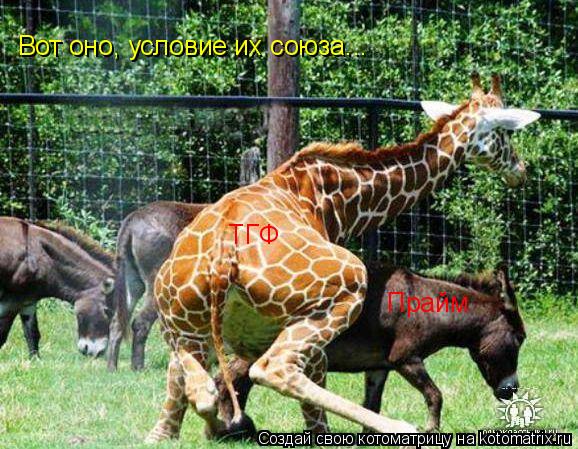 ТГФ Прайм Вот оно, условие их союза...... Котоматрица: ТГФ Прайм Вот оно, условие их союза...