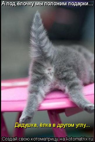 А под ёлочку мы положим подарки... Дедушка, ёлка в другом углу...... Котоматрица: А под ёлочку мы положим подарки... Дедушка, ёлка в другом углу...