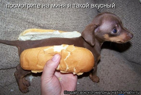 посмотрите на миня я такой вкусный... Котоматрица: посмотрите на миня я такой вкусный