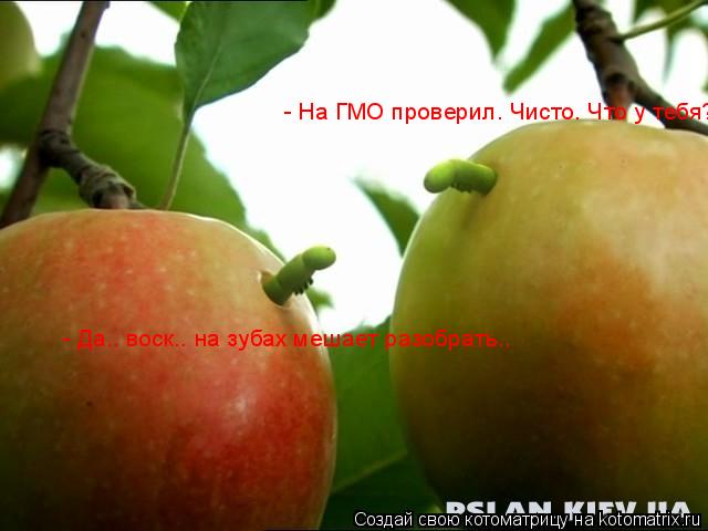 - На ГМО проверил. Чисто. Что у тебя? - На ГМО проверил. Чисто. Что у тебя? - Да.. воск.. на зубах ме... Котоматрица: - На ГМО проверил. Чисто. Что у тебя? - На ГМО проверил. Чисто. Что у тебя? - Да.. воск.. на зубах мешает разобрать..