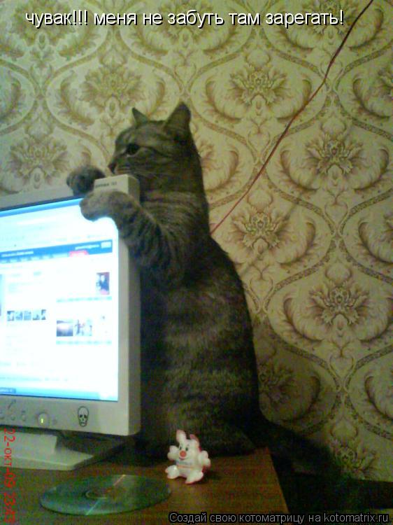 чувак!!! меня не забуть там зарегать!... Котоматрица: чувак!!! меня не забуть там зарегать!