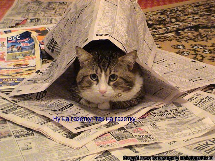 Ну на газетку, так на газетку...... Котоматрица: Ну на газетку, так на газетку...