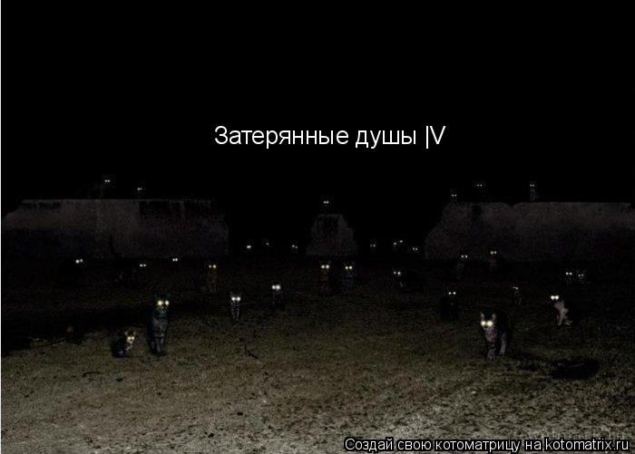 Затерянные душы |V... Котоматрица: Затерянные душы |V