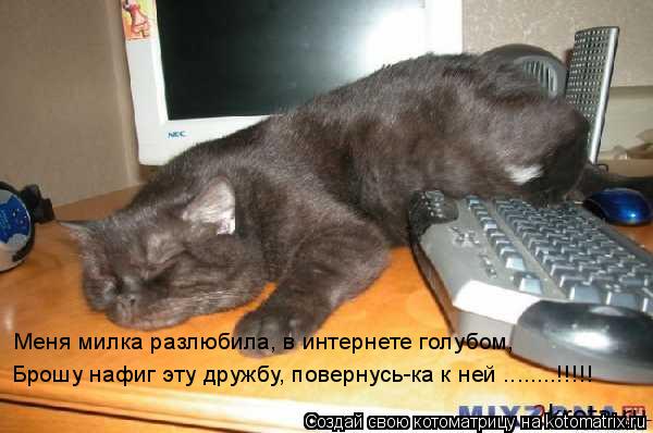 Меня милка разлюбила, в интернете голубом, Меня милка разлюбила, в интернете голубом, Брошу нафиг эту... Котоматрица: Меня милка разлюбила, в интернете голубом, Меня милка разлюбила, в интернете голубом, Брошу нафиг эту дружбу, повернусь-ка к ней ........!!!!!