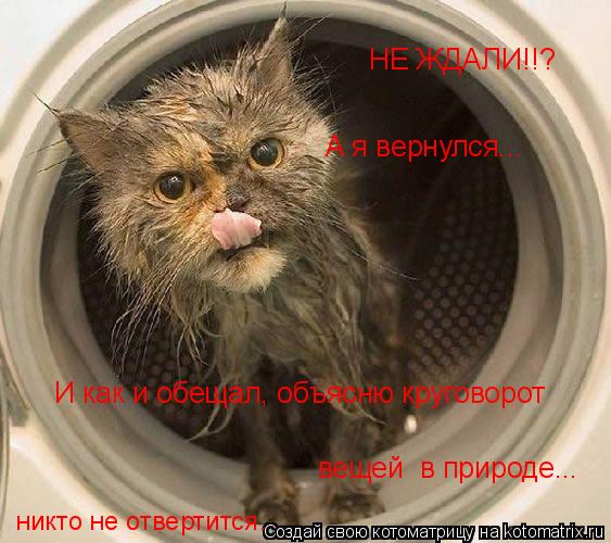 НЕ ЖДАЛИ!!? А я вернулся... И как и обещал, объясню круговорот вещей в природе... никто не отвертитс... Котоматрица: НЕ ЖДАЛИ!!? А я вернулся... И как и обещал, объясню круговорот вещей в природе... никто не отвертится.