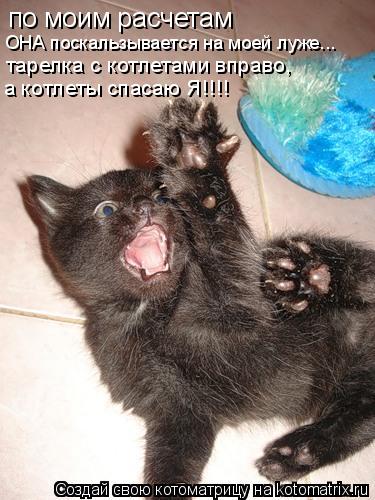 по моим расчетам ОНА поскальзывается на моей луже... тарелка с котлетами вправо, а котлеты спасаю Я!!... Котоматрица: по моим расчетам ОНА поскальзывается на моей луже... тарелка с котлетами вправо, а котлеты спасаю Я!!!!