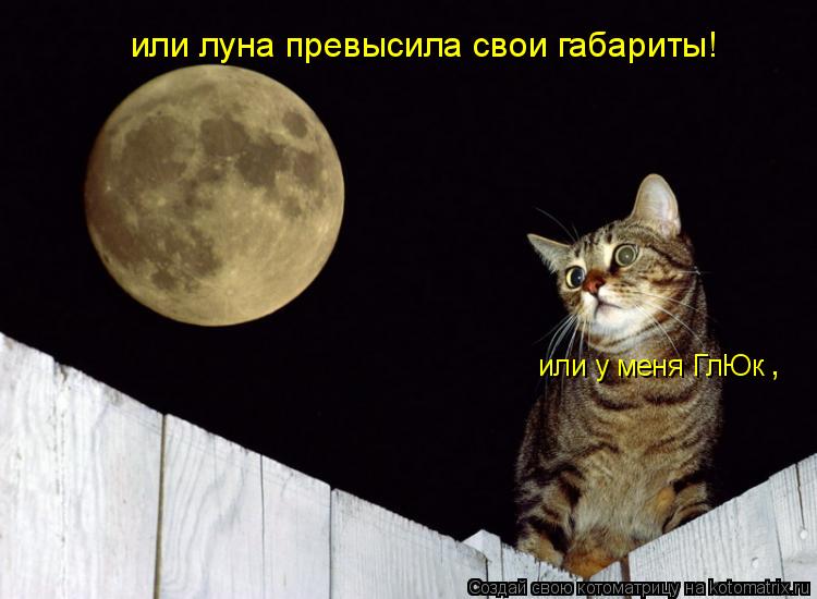 или у меня ГлЮк или луна превысила свои габариты! ,... Котоматрица: или у меня ГлЮк или луна превысила свои габариты! ,