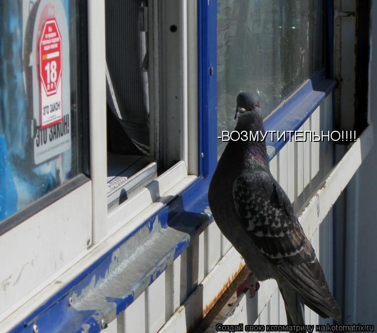 Котоматрица: -ВОЗМУТИТЕЛЬНО!!!!