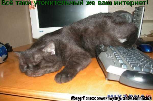 Котоматрица: Всё таки утомительный же ваш интернет!