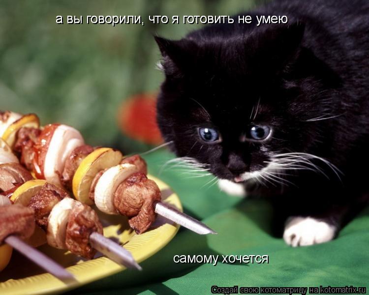 Котоматрица: а вы говорили, что я готовить не умею а вы говорили, что я готовить не умею самому хочется