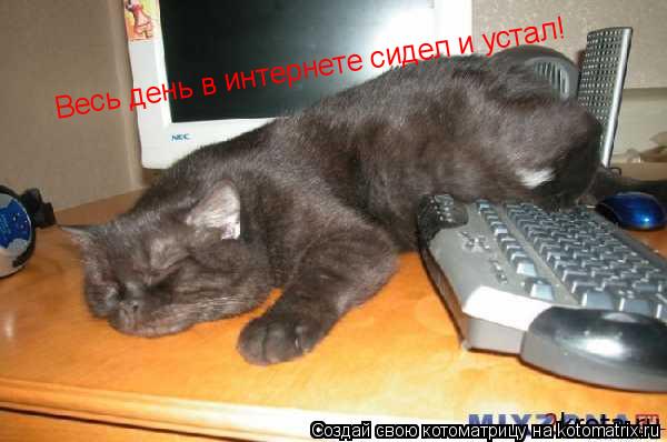 Котоматрица: Весь день в интернете сидел и устал!
