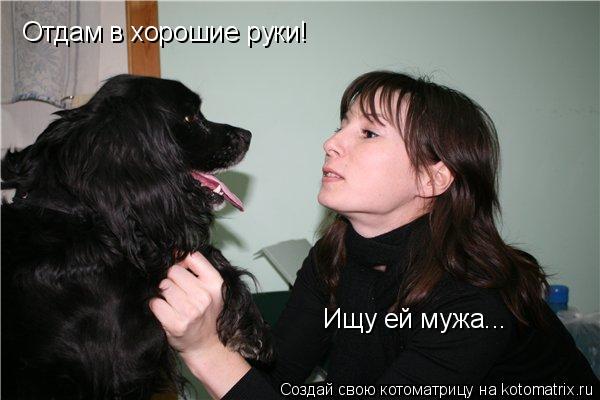 Котоматрица: Отдам в хорошие руки! Ищу ей мужа...