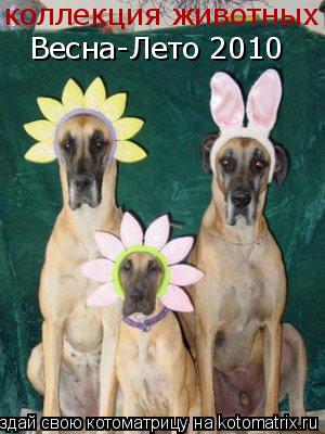 Котоматрица: коллекция животных Весна-Лето 2010