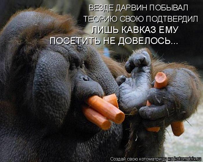 Котоматрица: ВЕЗДЕ ДАРВИН ПОБЫВАЛ ТЕОРИЮ СВОЮ ПОДТВЕРДИЛ ЛИШЬ КАВКАЗ ЕМУ ПОСЕТИТЬ НЕ ДОВЕЛОСЬ...