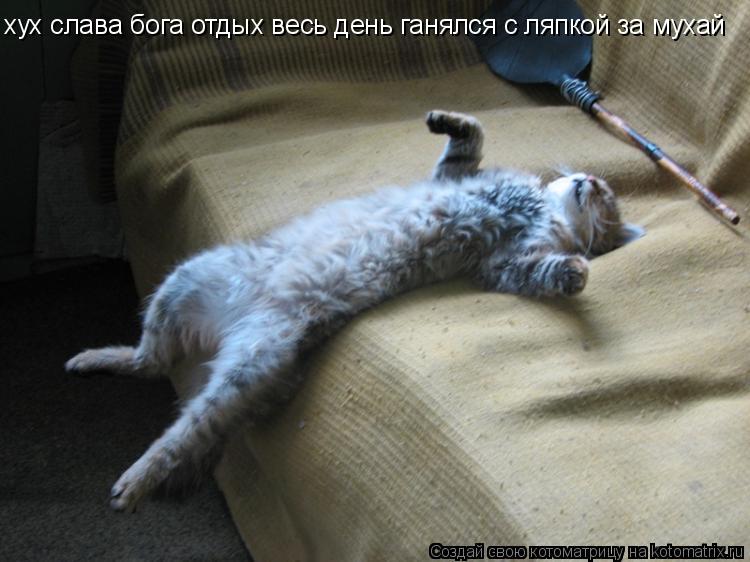 Котоматрица: хух слава бога отдых весь день ганялся с ляпкой за мухай
