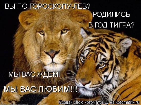 Котоматрица: ВЫ ПО ГОРОСКОПУ-ЛЕВ? РОДИЛИСЬ В ГОД ТИГРА? МЫ ВАС ЖДЕМ! МЫ ВАС ЛЮБИМ!!!