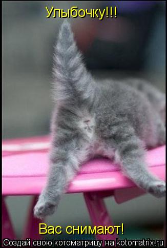 Котоматрица: Улыбочку!!! Вас снимают!