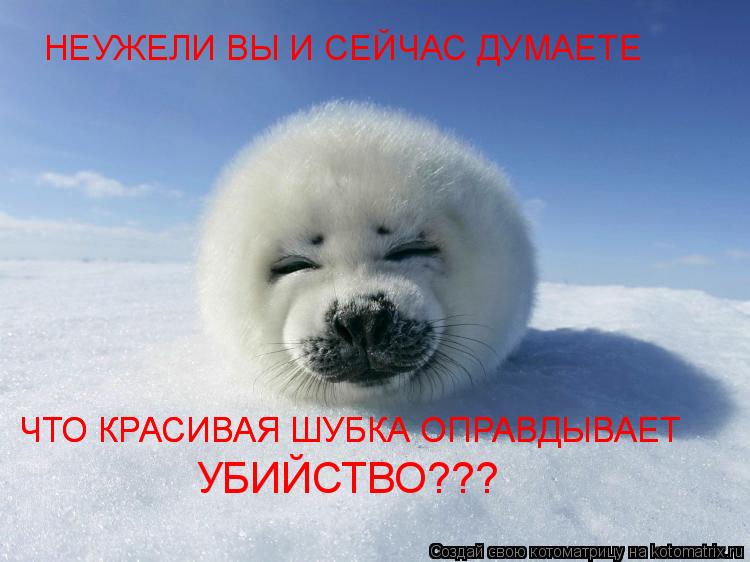 Котоматрица: НЕУЖЕЛИ ВЫ И СЕЙЧАС ДУМАЕТЕ ЧТО КРАСИВАЯ ШУБКА ОПРАВДЫВАЕТ  ЧТО КРАСИВАЯ ШУБКА ОПРАВДЫВАЕТ  УБИЙСТВО???