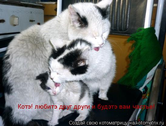 Котоматрица: Котэ! любитэ друг други и будэтэ вам частье!