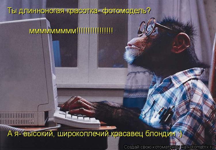 Котоматрица: Ты длинноногая красотка- фотомодель? ммммммммм!!!!!!!!!!!!!!!! А я- высокий, широкоплечий красавец блондин :)
