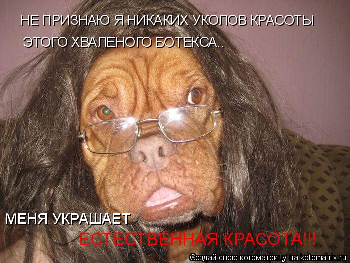 Котоматрица: НЕ ПРИЗНАЮ Я НИКАКИХ УКОЛОВ КРАСОТЫ ЭТОГО ХВАЛЕНОГО БОТЕКСА.. МЕНЯ УКРАШАЕТ  ЕСТЕСТВЕННАЯ КРАСОТА!!!