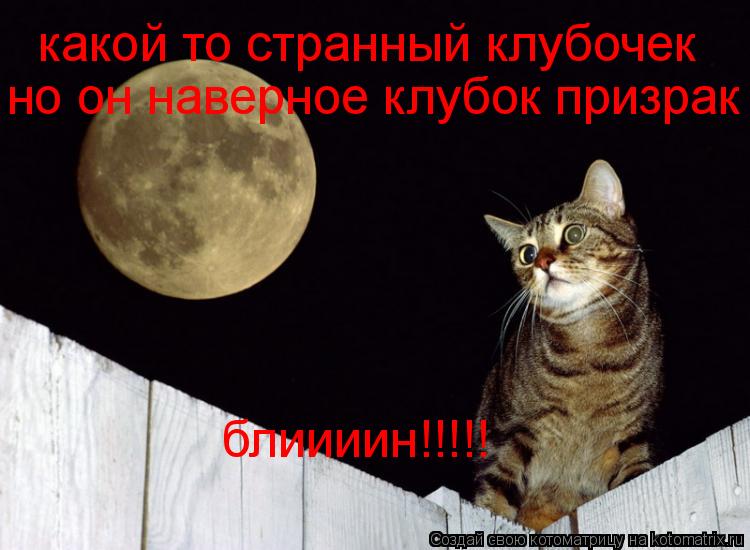 Котоматрица: какой то странный клубочек но он наверное клубок призрак блиииин!!!!!