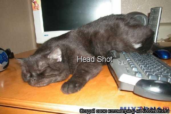 Head Shot... Котоматрица: Head Shot