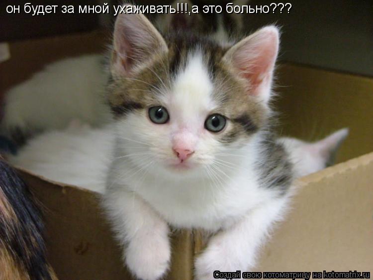 он будет за мной ухаживать!!!,а это больно???... Котоматрица: он будет за мной ухаживать!!!,а это больно???