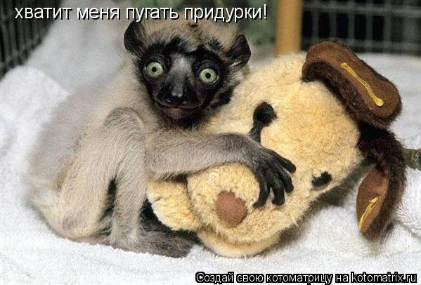 хватит меня пугать придурки!... Котоматрица: хватит меня пугать придурки!