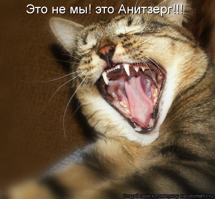 Это не мы! это Анитзерг!!!... Котоматрица: Это не мы! это Анитзерг!!!