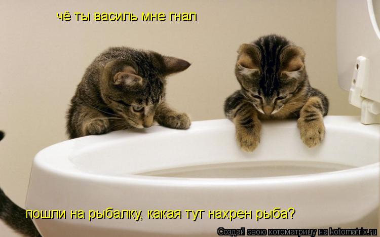 чё ты василь мне гнал пошли на рыбалку, какая тут нахрен рыба?... Котоматрица: чё ты василь мне гнал пошли на рыбалку, какая тут нахрен рыба?