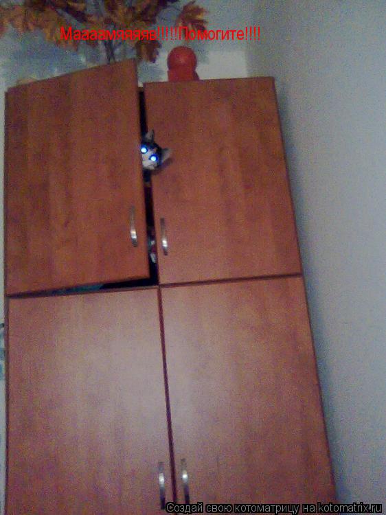 Котоматрица: Маааамяяяяв!!!!!Помогите!!!!