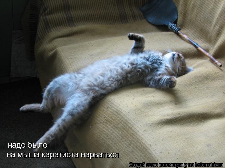 Котоматрица: надо было на мыша каратиста нарваться