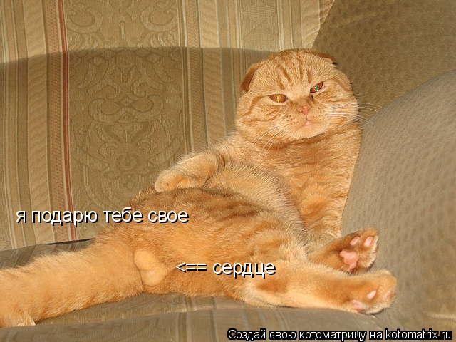 Котоматрица: я подарю тебе свое <== сердце
