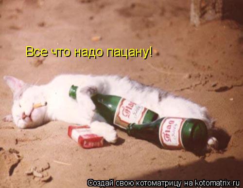 Котоматрица: Все что надо пацану!