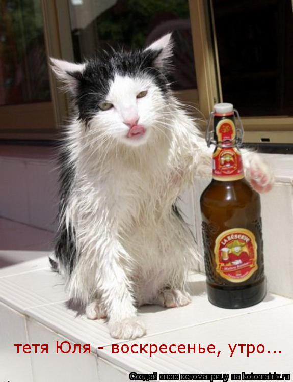 Котоматрица: тетя Юля - воскресенье, утро...