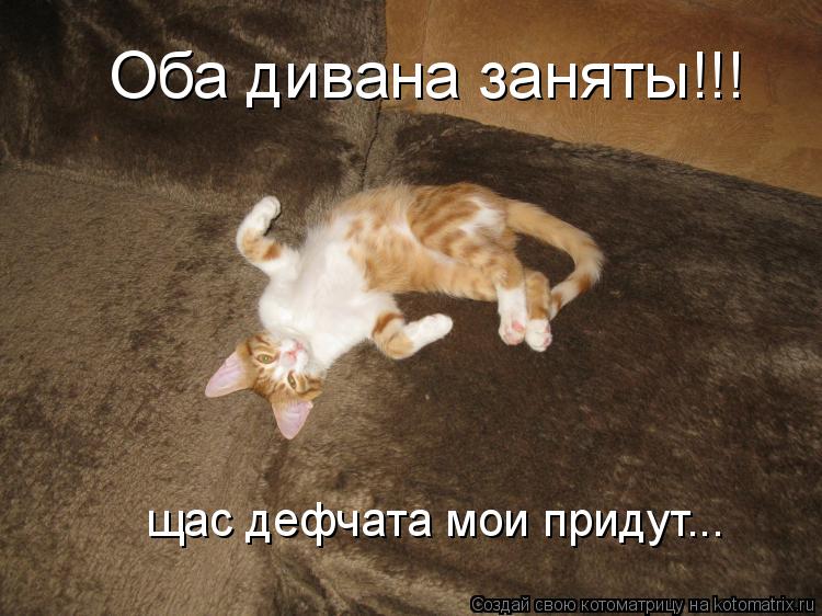 Котоматрица: Оба дивана заняты!!! щас дефчата мои придут...